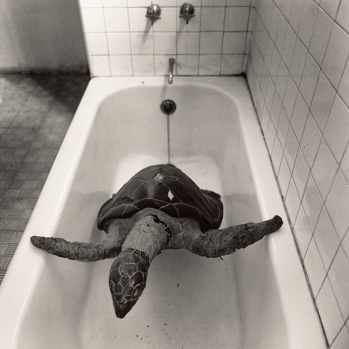EL BAÑO DE FRIDA KAHLO